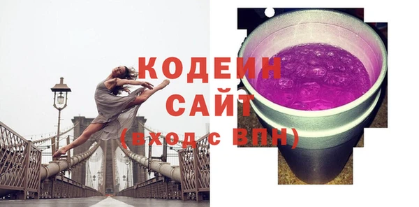 прущий лед Бородино