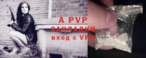 прущий лед Бородино