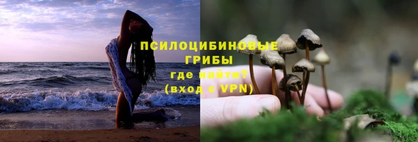 прущий лед Бородино