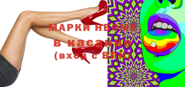 прущий лед Бородино