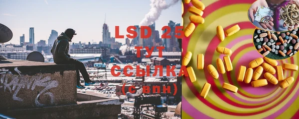 ГАЛЛЮЦИНОГЕННЫЕ ГРИБЫ Бугульма