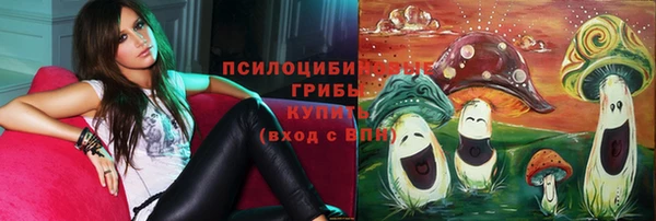 ГАЛЛЮЦИНОГЕННЫЕ ГРИБЫ Бугульма